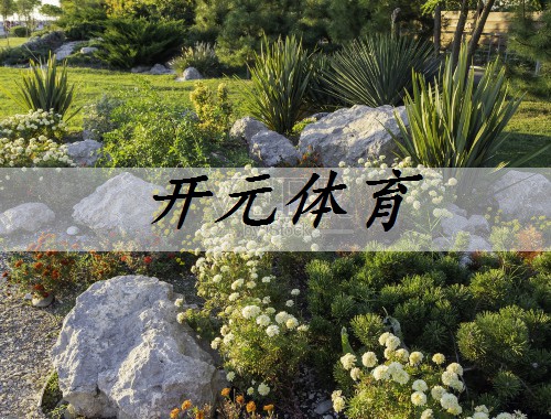 适合城市绿化的花