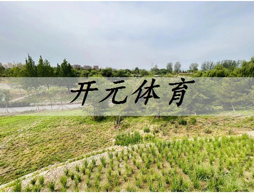 绥芬河市政绿化常用苗木