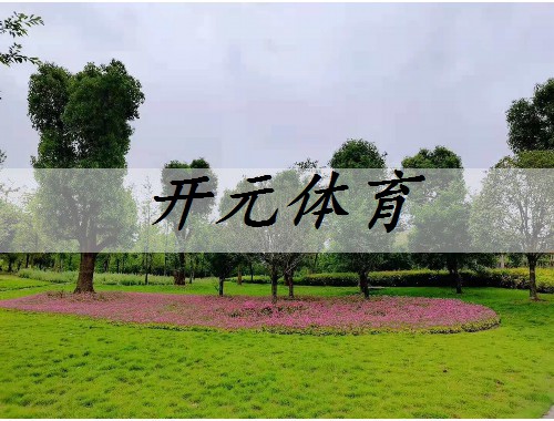深圳庭院园林绿化工程