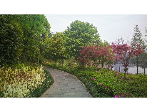 泗阳县众和园林绿化工程有限公司