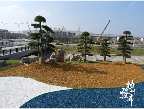 桦甸城市道路绿化规范2022
