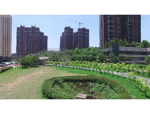 枣庄绿化工程价格